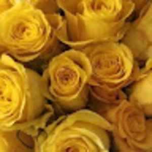 Meet your Posher, Juhee